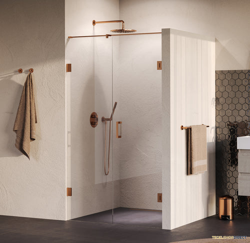 BRAUER Void nisdeur 2-delig helder glas 120x200 omkeerbaar met draaideur 60 aan muur incl. glascoating PVD koper