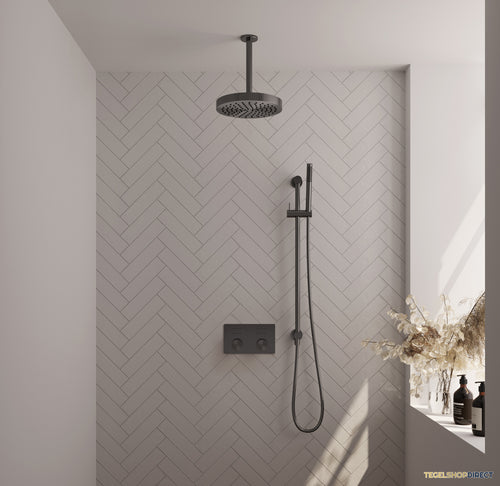 Brauer Stripe thermostatische inbouw regendouche met drukknoppen SET 33 met 25 cm douchekop en plafondarm en staaf handdouche en doucheslang en geintegreerde glijstang gunmetal geborsteld PVD