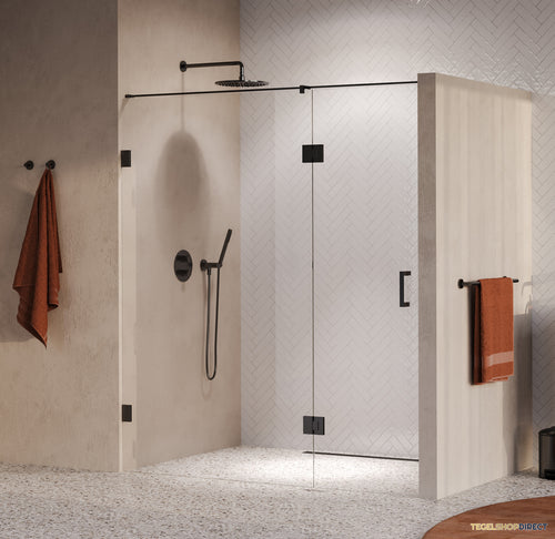 BRAUER Void nisdeur 2-delig helder glas 180x200 omkeerbaar met draaideur 70 aan glas incl. glascoating PVD gunmetal