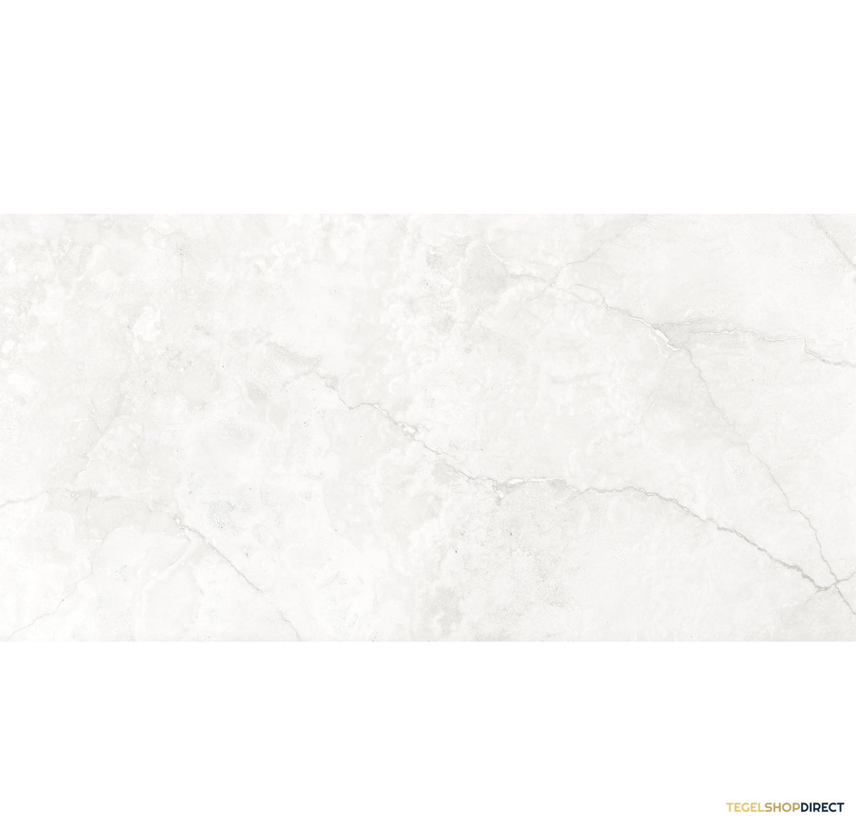 TG354 – afbeelding 4