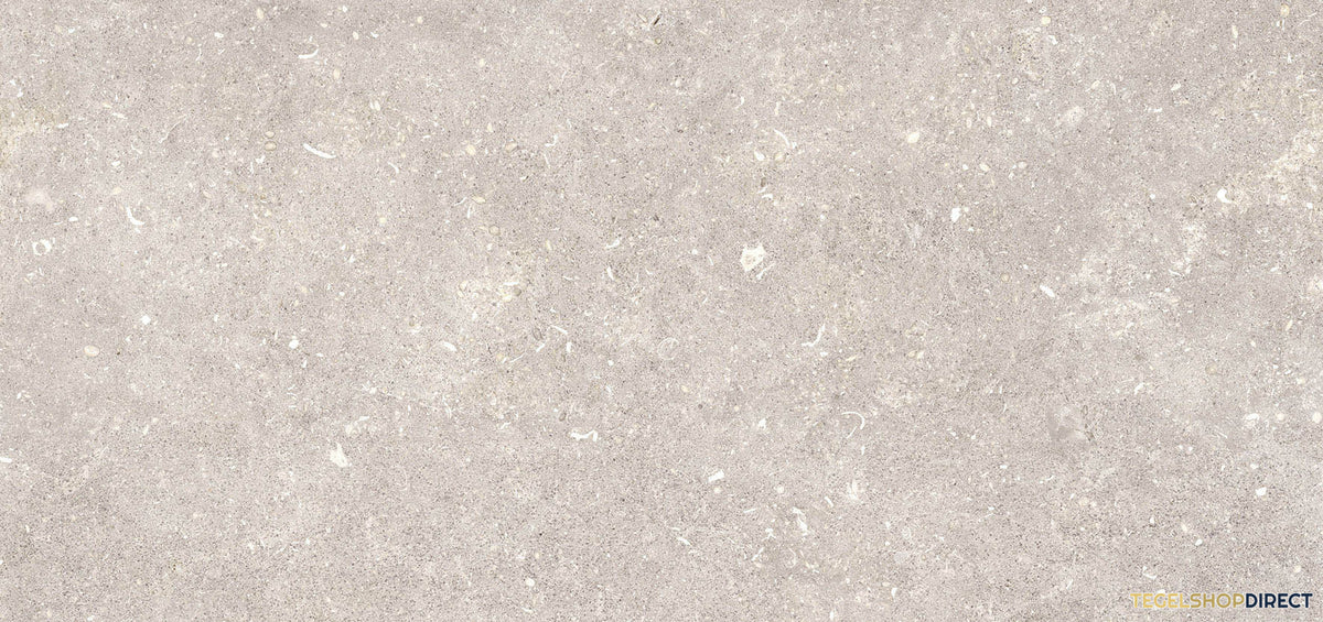 TG295
