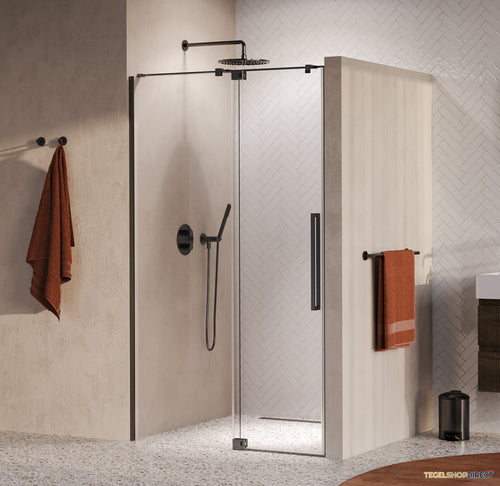 BRAUER Stellar nisdeur 2-delig draaiend helder glas 120x200 omkeerbaar incl. glascoating PVD gunmetal geborsteld
