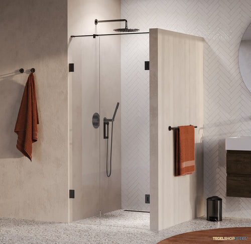 BRAUER Void nisdeur 2-delig helder glas 90x200 omkeerbaar met draaideur 60 aan muur incl. glascoating PVD gunmetal