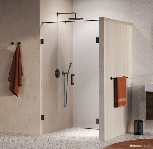 BRAUER Void nisdeur 2-delig helder glas 120x200 omkeerbaar met draaideur 60 aan muur incl. glascoating PVD gunmetal