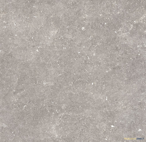 TG300