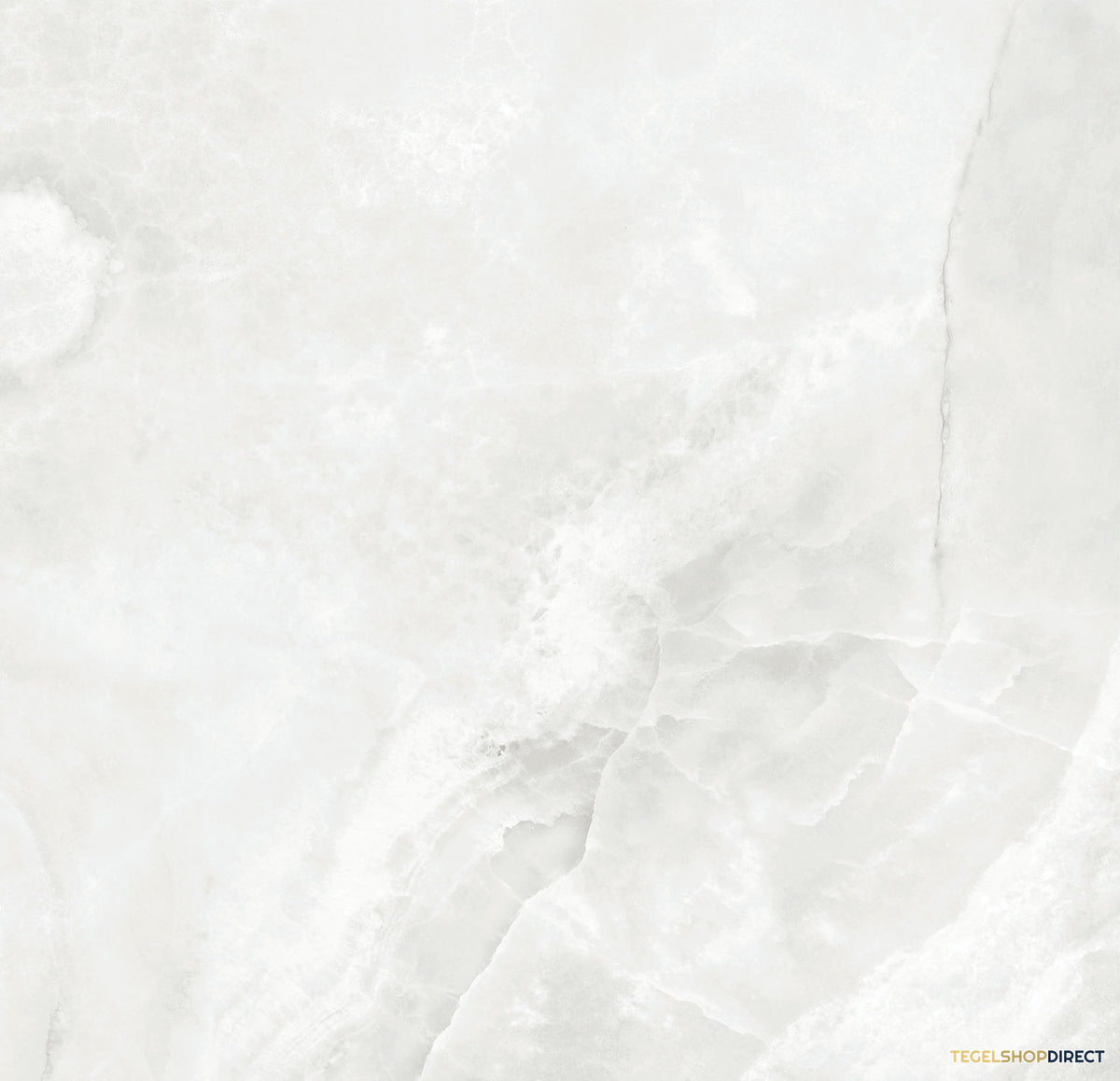 TG387 – afbeelding 2