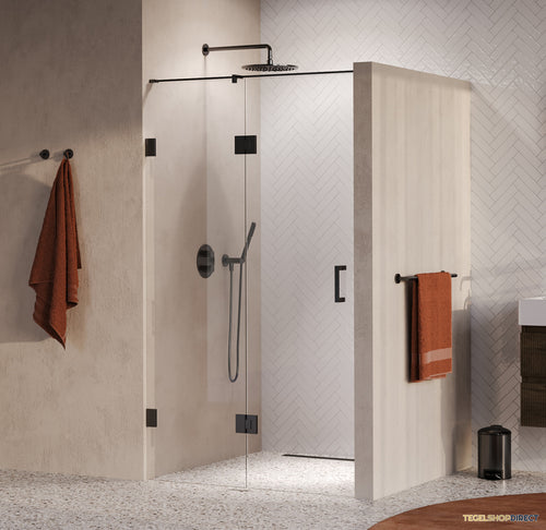 BRAUER Void nisdeur 2-delig helder glas 120x200 omkeerbaar met draaideur 60 aan glas incl. glascoating PVD gunmetal