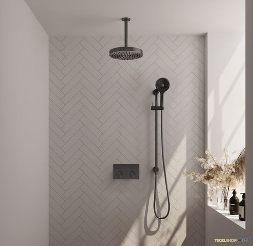 Brauer Stripe thermostatische inbouw regendouche met drukknoppen SET 36 met 25 cm douchekop en plafondarm en 3-standen handdouche en doucheslang en geintegreerde glijstang gunmetal geborsteld PVD