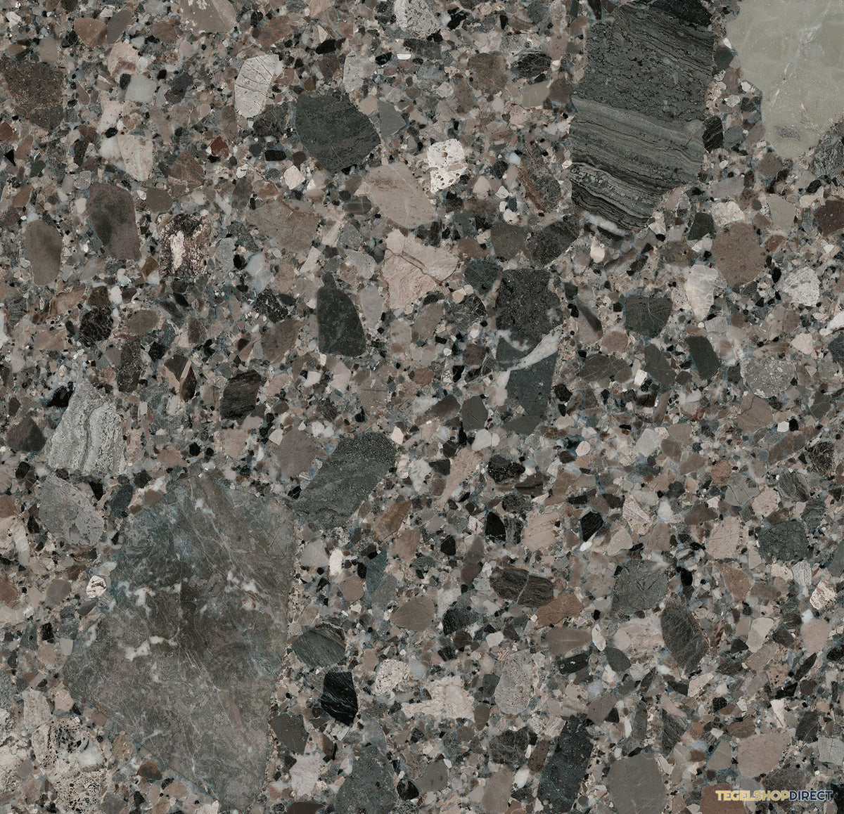 TG457 – afbeelding 2